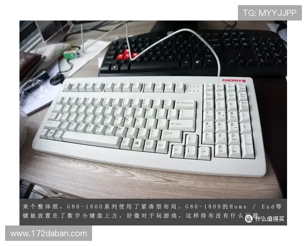 白轴和灰轴哪个更适合游戏玩家体验深度对比与选择建议